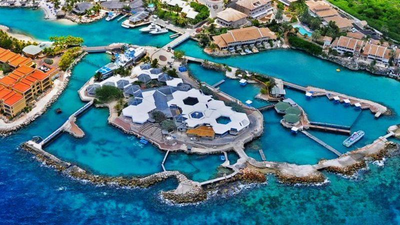 Dolphin Academy Curacao Sea Aquarium Park 800x450 1