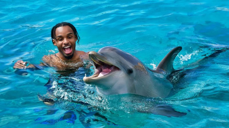 Dolphin Swim Curacao dolfijn zwemmen lachen 800x450 1