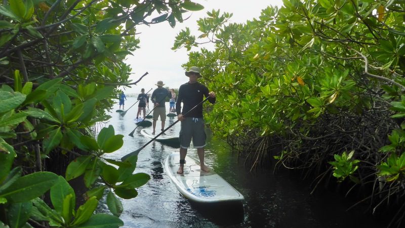 sup curacao mangrove 800x450 2