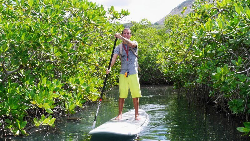 sup mangrove curacao 800x450 1