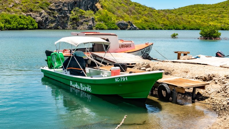 barku berde banda about buggy boot trip 800x450 1