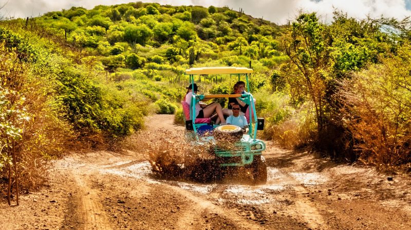 boot buggy tour ruige natuur 800x450 1